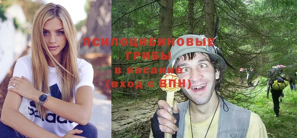прущая мука Медвежьегорск