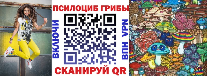 Купить Кашира Галлюциногенные грибы мухоморы